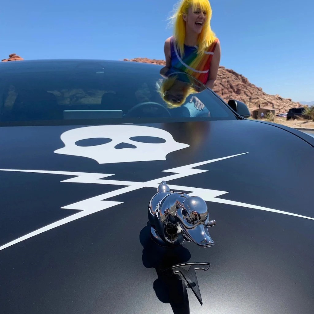 Angry Duck Hood Ornament - Image 3