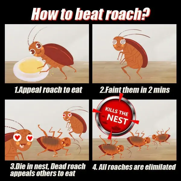 Cockroach Bait Station - Image 2