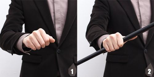 Extendable Metal Stick - Image 3