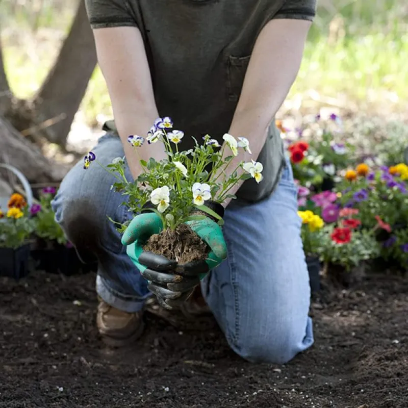 Garden Claw Gloves - Image 8