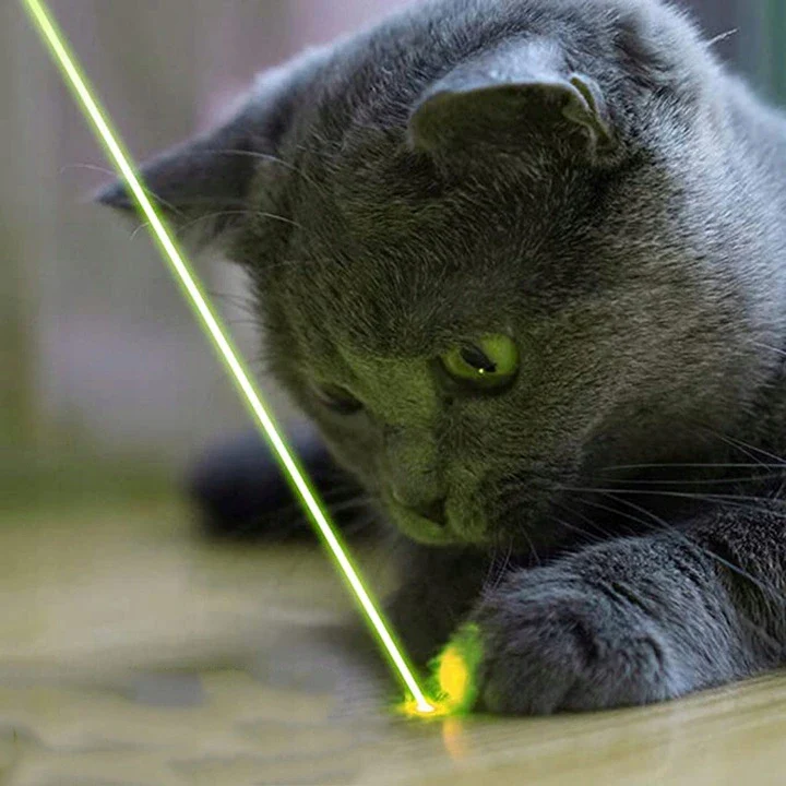 High-Power Green Laser Pointer - Image 4