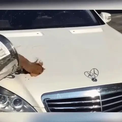 High Protection Car Coating Spray - Image 6