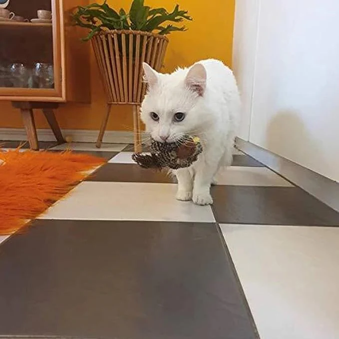 Interactive Bird Cat Toy - Image 5