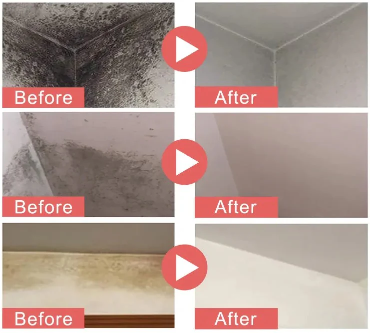 Mold Remover Gel - Image 7