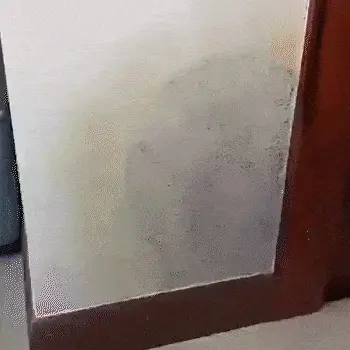 Mold Cleaner Spray - Image 2