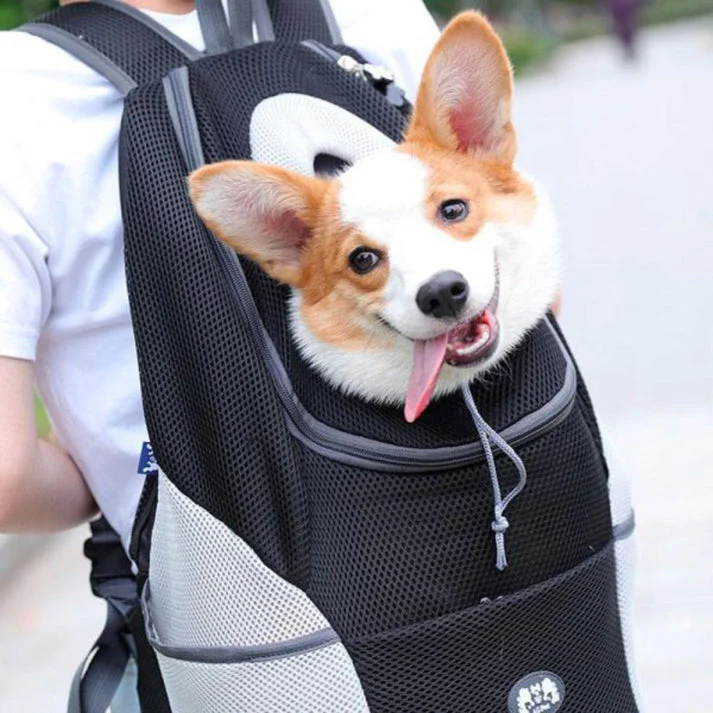 PawQuest Pet Carrier Backpack - Image 2