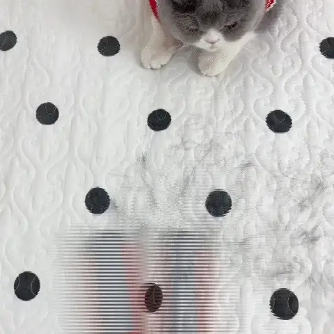 Pet Hair Remover - Image 16