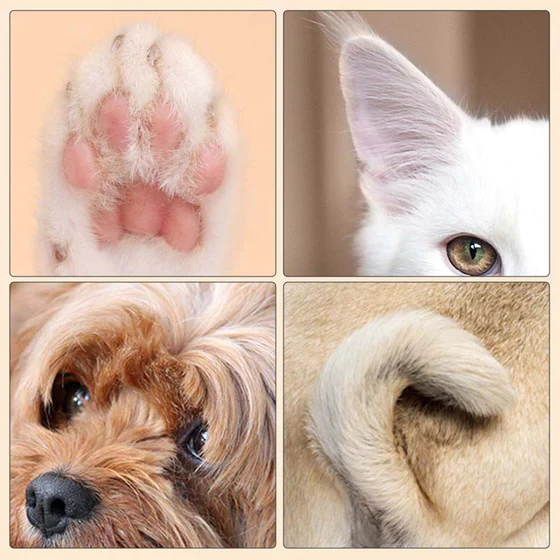 Kutzell™ Pet Hair Trimmer - Image 2