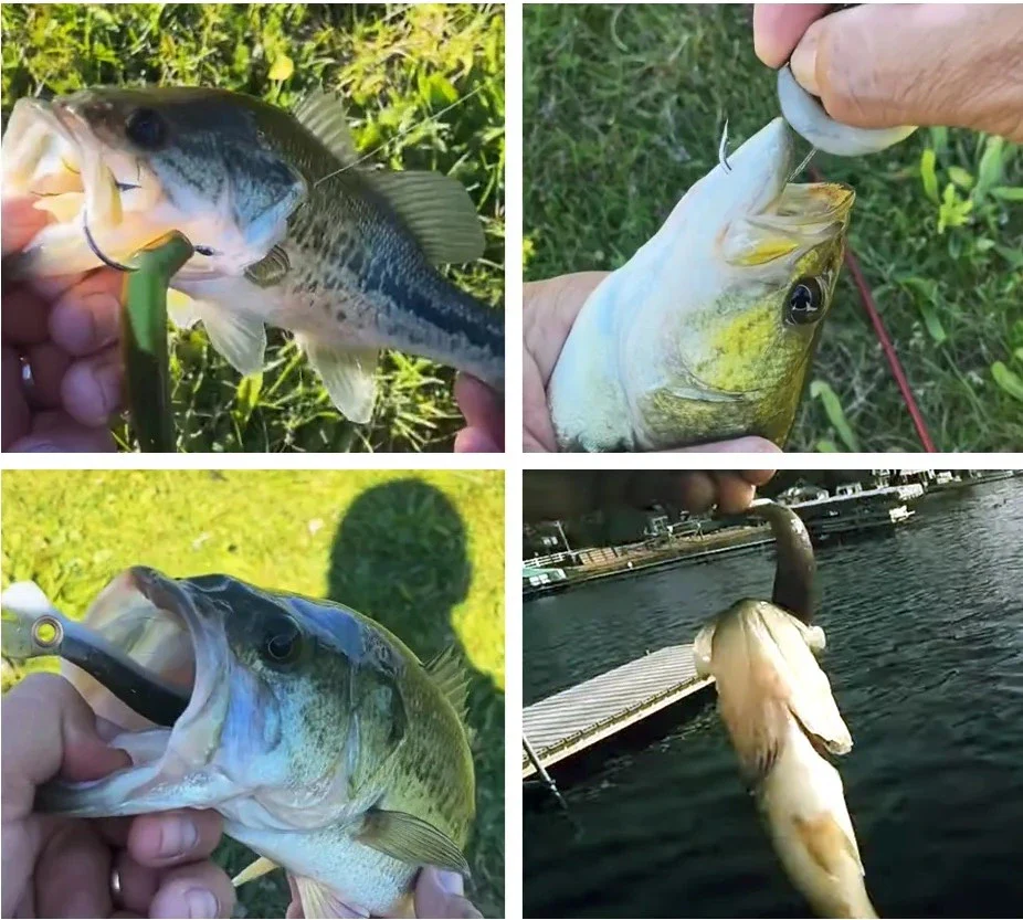 Realistic Flexible Fishing Lure Set - Image 3