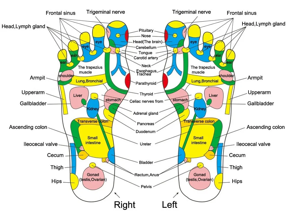 Reflexology Foot Massage Pad - Image 3