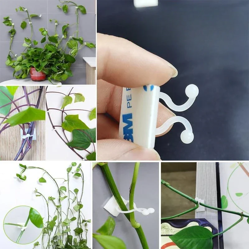 Self-Adhesive Plant Wall Clips (50pcs) - Image 3