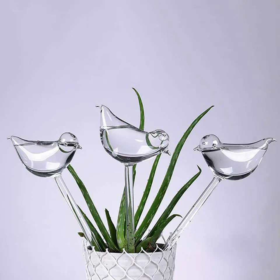 Self-Watering Plant Glass Bulbs (Set of 2) - Image 4