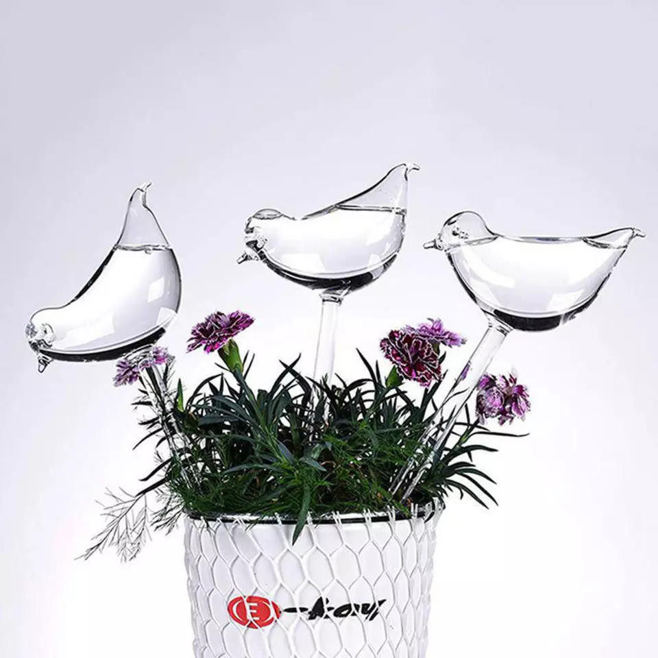 Self-Watering Plant Glass Bulbs (Set of 2) - Image 7