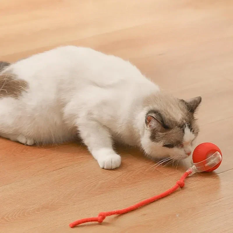 WhiskerWhiz Smart Interactive Toy - Image 2