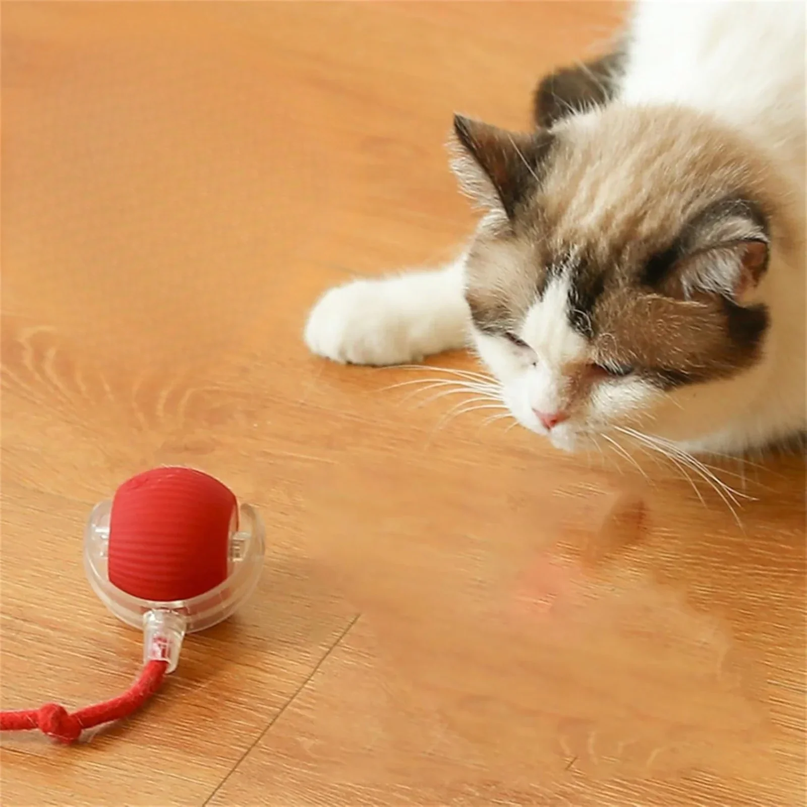 WhiskerWhiz Smart Interactive Toy - Image 3