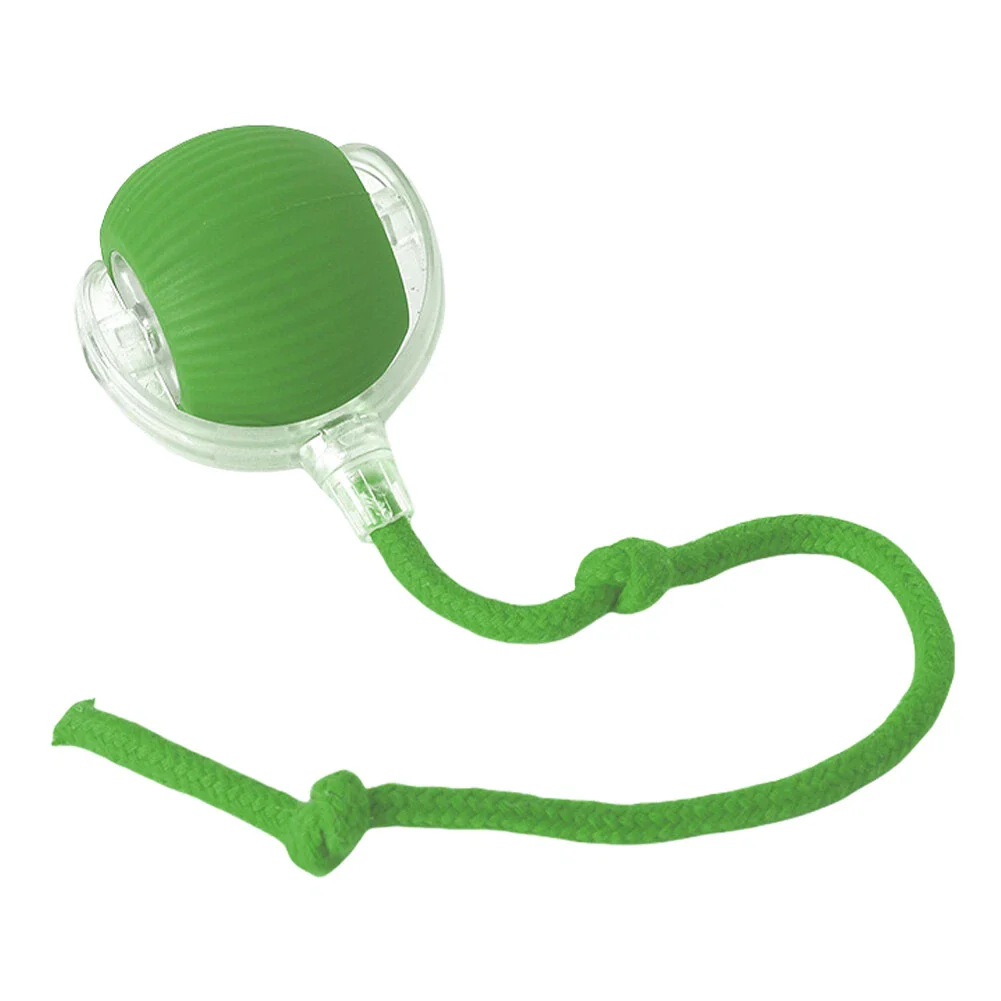 WhiskerWhiz Smart Interactive Toy - Image 5