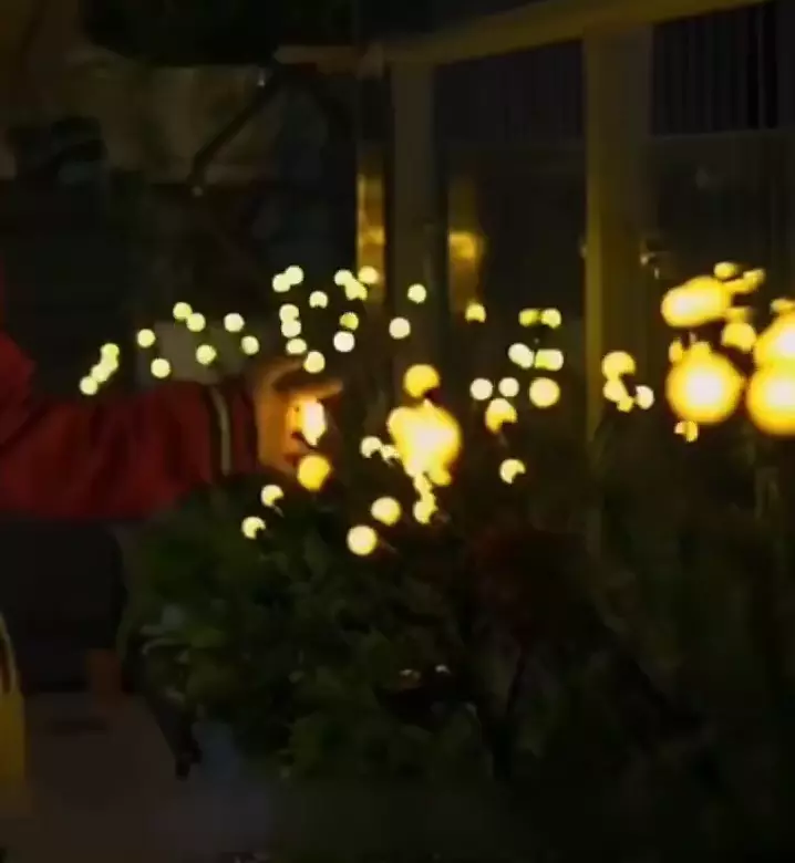 Solar Powered Firefly Lights - Image 3