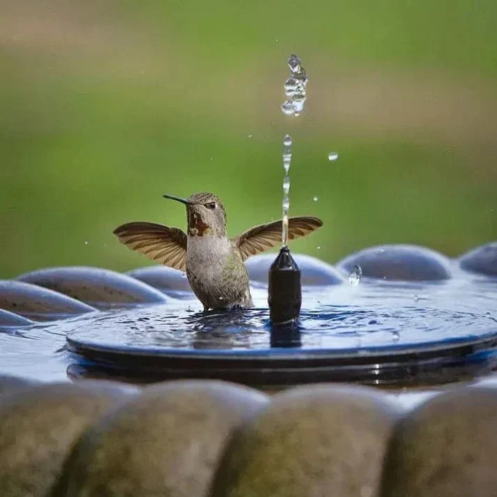 Alveris™ Solar-Powered Fountain - Image 2