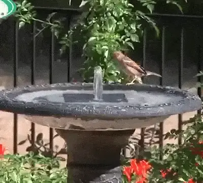 Alveris™ Solar-Powered Fountain - Image 7