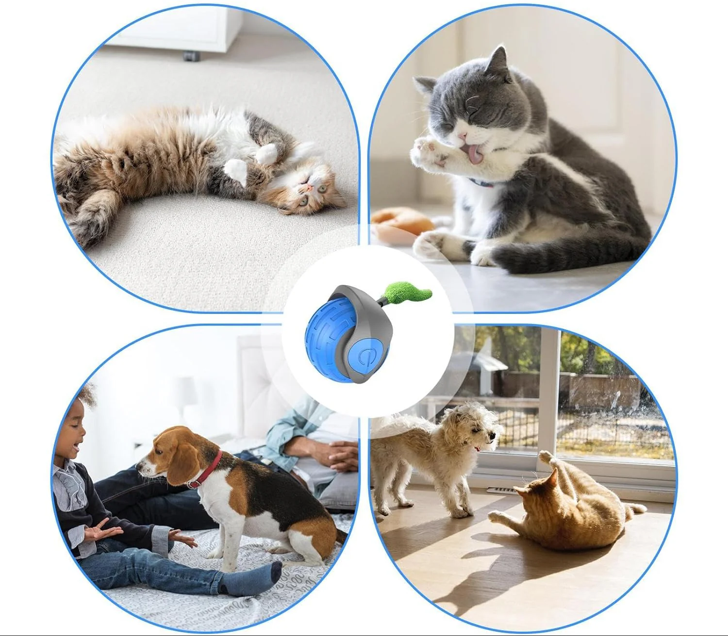 WhiskerWhiz Smart Interactive Toy - Image 4